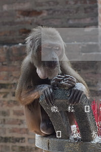 微粒貸的還款方式可用微信錢包-微粒貸的還款方式可用微信錢包還款嗎