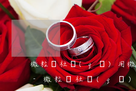 微粒貸社區(qū)用微粒貸借錢如何還款-微粒貸社區(qū)用微粒貸借錢如何還款的