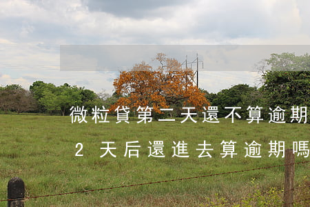 微粒貸第二天還不算逾期(微粒貸過了還款日2天后還進去算逾期嗎)