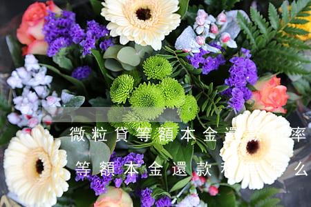 微粒貸等額本金還款利率怎么計算-微粒貸等額本金還款利率怎么計算的