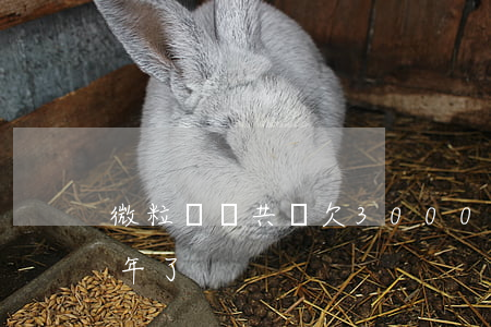 微粒貸總共還欠3000(微粒貸欠4萬多3年了)