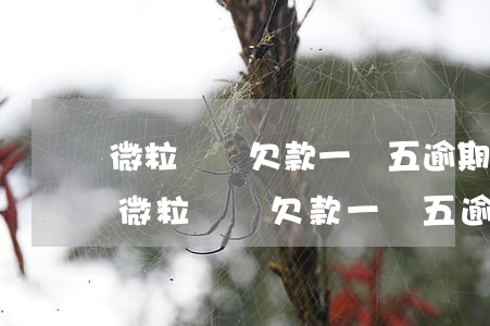 微粒貸總欠款一萬五逾期三個(gè)月-微粒貸總欠款一萬五逾期三個(gè)月會怎么樣