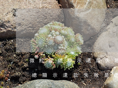 微粒貸總顯示還款失敗是怎么回事-微粒貸總顯示還款失敗是怎么回事啊