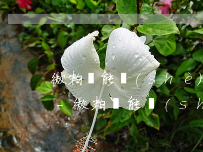 微粒貸能設(shè)置每月20日還款嗎-微粒貸能設(shè)置每月20日還款嗎