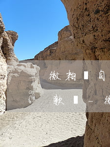 微粒貸自動(dòng)扣款怎么看不到還款額-微粒貸自動(dòng)扣款怎么看不到還款額呢