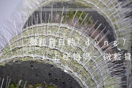 微粒貸自動(dòng)還款失敗會(huì)上征信嗎-微粒貸自動(dòng)還款失敗影響征信嗎