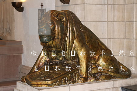 微粒貸自動扣款不了然后怎么還款-微粒貸自動扣款不了然后怎么還款呢