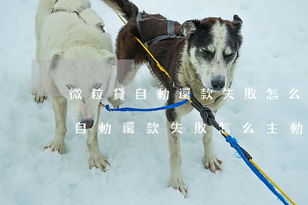 微粒貸自動還款失敗怎么主動還款-微粒貸自動還款失敗怎么主動還款呢