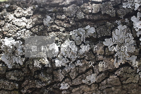 微粒貸被清退了嗎欠的錢還要還嗎-微粒貸被清退了嗎欠的錢還要還嗎怎么辦