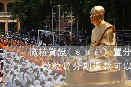 微粒貸設(shè)置分期還款可以多還嗎-微粒貸分期還款可以一次性還款嗎