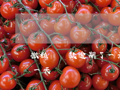 微粒貸貸款逾期了一天-微粒貸貸款逾期了一天