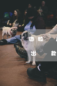 微粒貸超出還款日期怎么算利息-微粒貸超出還款日期怎么算利息的