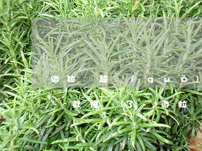微粒貸超過(guò)2萬(wàn)怎么還款限額了-微粒貸超過(guò)2萬(wàn)怎么還款限額了呢