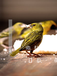 微粒貸逾期10多天了怎么協(xié)商還款-微粒貸逾期十來天會怎么樣
