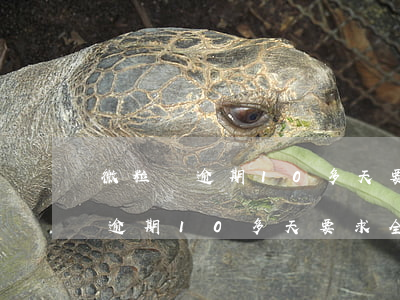 微粒貸逾期10多天要求全額還款-微粒貸逾期10多天要求全額還款是真的嗎