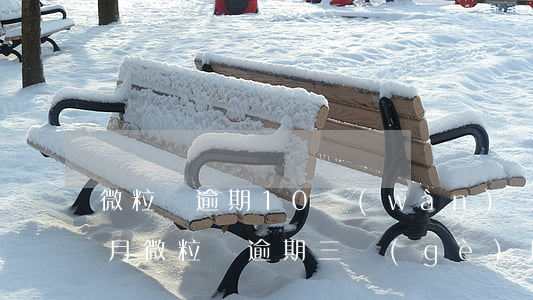 微粒貸逾期10萬(wàn)三個(gè)月(微粒貸逾期三個(gè)月催收最狠)