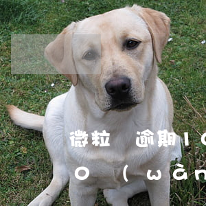 微粒貸逾期10萬(wàn) 微粒貸逾期10萬(wàn)利息一天70元