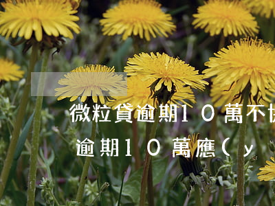微粒貸逾期10萬不協(xié)商(微粒貸逾期10萬應(yīng)該怎么辦)