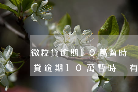 微粒貸逾期10萬暫時沒有能力還款-微粒貸逾期10萬暫時沒有能力還款怎么辦