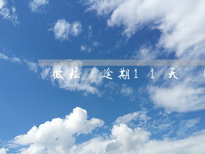 微粒貸逾期11天會(huì)上門嗎