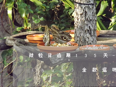 微粒貸逾期135天-微粒貸逾期13天會(huì)全款還嗎