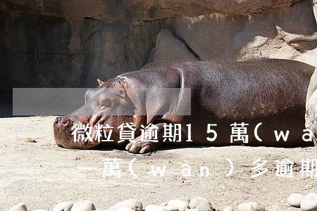微粒貸逾期15萬(wàn)違法嗎(微粒貸一萬(wàn)多逾期多久起訴)