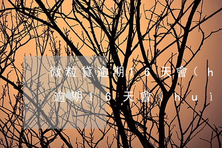 微粒貸逾期16天會(huì)怎樣(微粒貸逾期16天會(huì)怎樣)