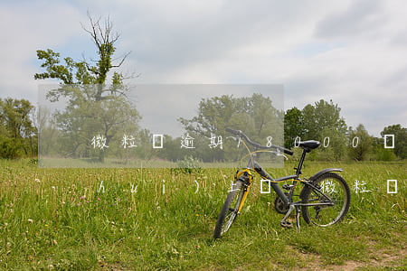 微粒貸逾期18000會(huì)不會(huì)上門-微粒貸逾期會(huì)報(bào)警嗎