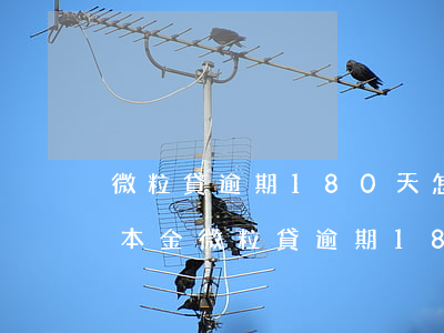 微粒貸逾期180天怎么協(xié)商還本金(微粒貸逾期180天怎么協(xié)商還本金呢)