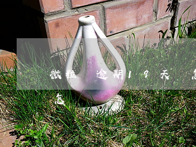 微粒貸逾期19天會怎樣(微粒貸逾期1天會怎樣?)