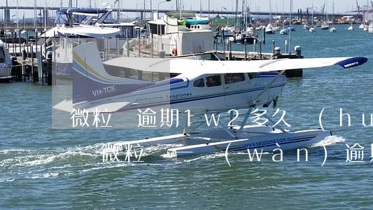 微粒貸逾期1w2多久會(huì)被起訴-微粒貸一萬(wàn)逾期兩年
