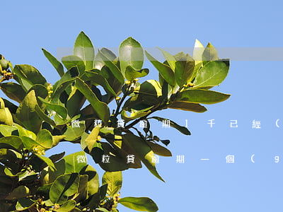 微粒貸逾期1千已經(jīng)起訴我了(微粒貸逾期一個(gè)月起訴)