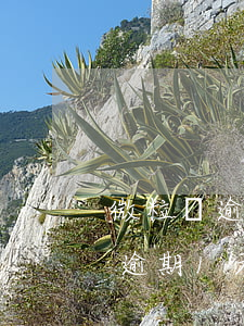 微粒貸逾期1天全部還完還能借嗎-微粒貸逾期1天全部還完還能借嗎怎么辦