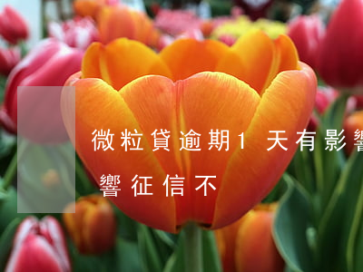 微粒貸逾期1天有影響嗎(微粒貸逾期一天影響征信不)