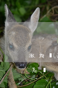微粒貸逾期1天關閉額度(微粒貸逾期1天會怎樣?)