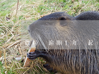 微粒貸逾期1年說起訴我
