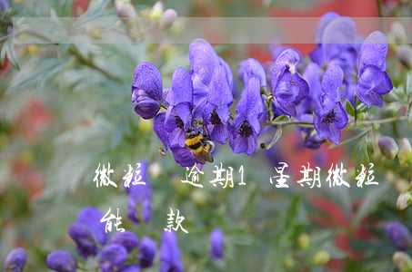 微粒貸逾期1星期(微粒貸逾期過一天,后期還能貸款嗎?)