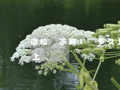 微粒貸逾期1萬多久上門(欠微粒貸多久會被上門)
