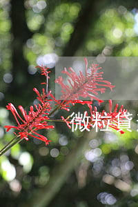 微粒貸逾期2000上門約談