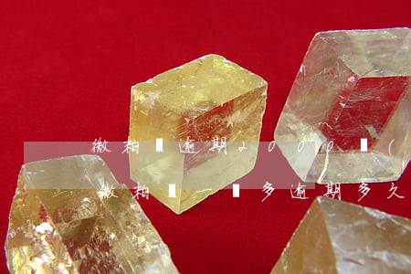 微粒貸逾期2000會(huì)被起訴嗎(微粒貸一萬多逾期多久起訴)