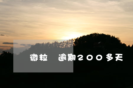 微粒貸逾期200多天會告法院嗎