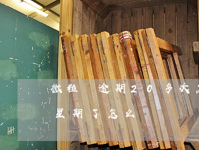 微粒貸逾期20多次怎么辦(微粒貸逾期一個星期了怎么辦)