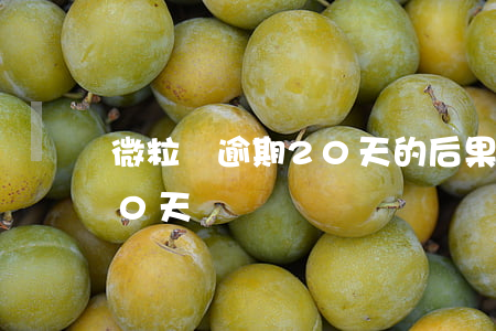 微粒貸逾期20天的后果(微粒貸可以逾期10天)