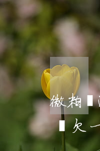 微粒貸逾期20萬會(huì)什么樣(微粒貸欠一萬逾期了會(huì)坐牢嗎)