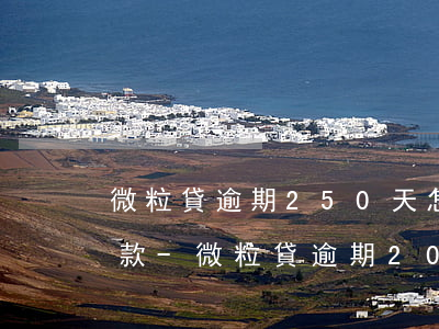 微粒貸逾期250天怎么協(xié)商還款-微粒貸逾期200天