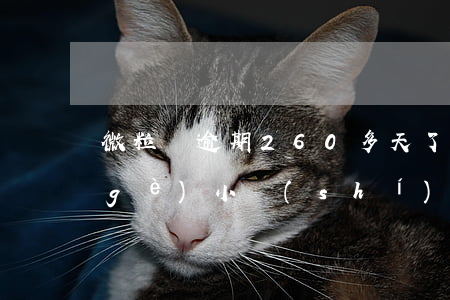 微粒貸逾期260多天了(微粒貸逾期幾個(gè)小時(shí)有沒(méi)有影響)