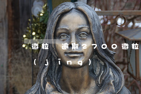 微粒貸逾期2700(微粒貸逾期一年親身經(jīng)歷)
