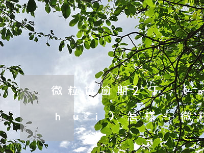 微粒貸逾期2千沒(méi)接它電話會(huì)怎樣-微粒貸逾期2千沒(méi)接它電話會(huì)怎樣處理