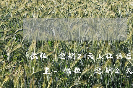微粒貸逾期2天上征信?后果有多嚴(yán)重?-微粒貸逾期2天會(huì)影響征信記錄嗎