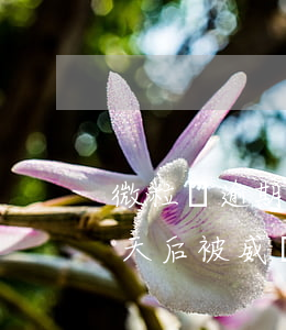微粒貸逾期2天后被威脅官司(微粒貸逾期2天后被威脅官司會怎樣)